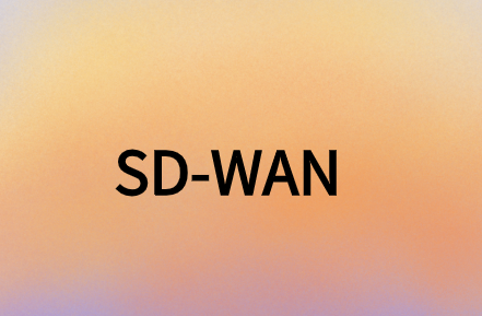 SD-WAN提供安全、靈活且經(jīng)濟(jì)高效的解決方案